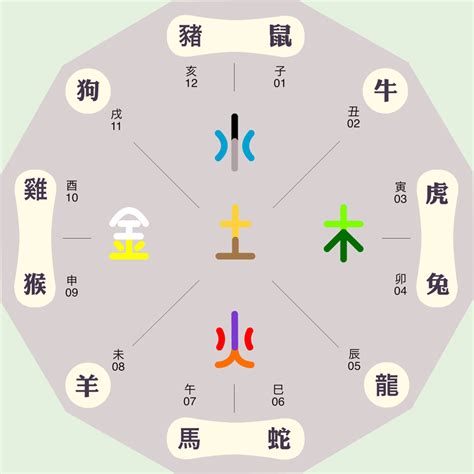 生肖鼠五行|十二生肖五行属性对照表，古人的智慧，值得品读和借鉴！